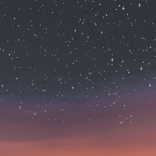 evening night with stars